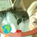 Sharon Mackey - Facebook