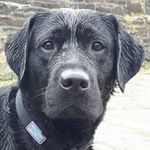 Sharon Macleod - @sharon.macleod.5243 - Instagram