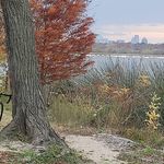 Sharon Skaggs Maclin - @psjia - Instagram