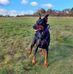 Sharon Macpherson - Facebook