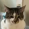 animallover675 - @sharon.mann27 - TikTok