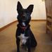 Sharon Mann - Facebook