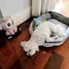 sharonmannino165 - @sharonmannino165 - TikTok