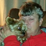 Sharon Marchese - @sharon.marchese.142 - Instagram