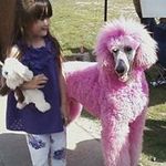 Sharon Marek - @sharon.marek - Instagram
