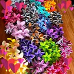 Sharon Mark - Facebook