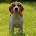 Sharon Mark - @sharon_mark444 - Instagram
