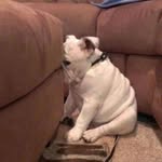 Sharon Marrs - @meemoe.marrs - Instagram