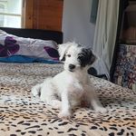 Sharon Marsden - @sharon.marsden - Instagram