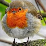 Sharon Marsden - @sharon.marsden.547 - Instagram