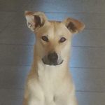 Sharon Marsden-Hill - @marsdenhill - Instagram