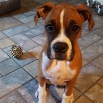 Sharon Marsden O'Connor - @sharonmconnor - Instagram