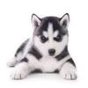 Sharon Massie781 - @sharonmassie781 - TikTok