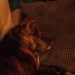 Sharon Matchett - @matchett994 - Instagram