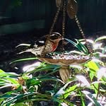 Sharon Matson - @sharon.matson.583 - Instagram