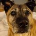Sharon Matson - Facebook