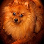 Sharon Mattei - @ski2412 - Instagram