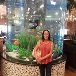 Sharon Mattison - @shmattison - Instagram