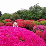 Sharon Maxwell - @sharon.maxwell.7921 - Instagram