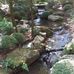 Sharon Mayes - Facebook