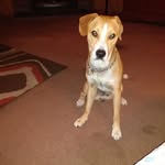 Sharon Mayes - @sharon.mayes.7549 - Instagram