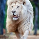 Sharon Mayes - @sharonlee01sm - Instagram