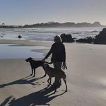 Sharon McAlpine - @pixiemac - Instagram
