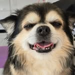 Sharon Ellis Mcauley - @sharonellismcauley - Instagram