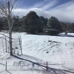 Sharon McCafferty - @mccmsr - Instagram
