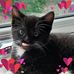 Sharon Mccafferty - Facebook