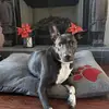 OrlandoTink - @sharonmccain335 - TikTok