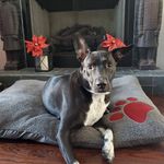 Sharon McCain - @sharon_sunshine_state - Instagram