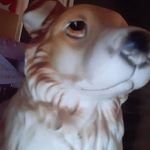 Sharon McCalla - @mccalla8730 - Instagram