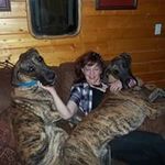 Sharon McCandless Pollaehne - @pollaehne - Instagram