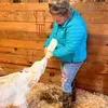 Sharon McClellan - @mcclellanfarm - TikTok