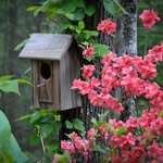 Sharon McCloud - @mahjong22 - Instagram