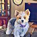 Sharon McCombs - Facebook