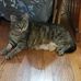 Sharon McCool - Facebook