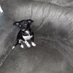 Sharon Gillespie Mccraw - @spooly1 - Instagram