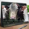 sharonmccraw390 - @sharonmccraw390 - TikTok
