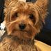 Sharon McDaniel - Facebook