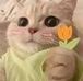 Sharon McDaniel - Facebook