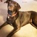 Sharon McDaniel - Facebook
