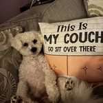Sharon Hanlon - @sharonmcgannhanlon - Instagram