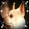 Sharon Mcgann776 - @sharonmcgann776 - TikTok