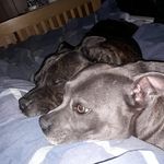 Sharon McGann - @shaz.za2009 - Instagram