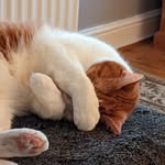 Sharon McGann - @sharon.mcgann.3 - Instagram