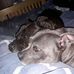 Sharon McGann - Facebook