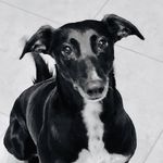 sharon mcgarry - @mcgarry721 - Instagram