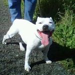 Sharon McGarry - @mcgarry.sharon - Instagram